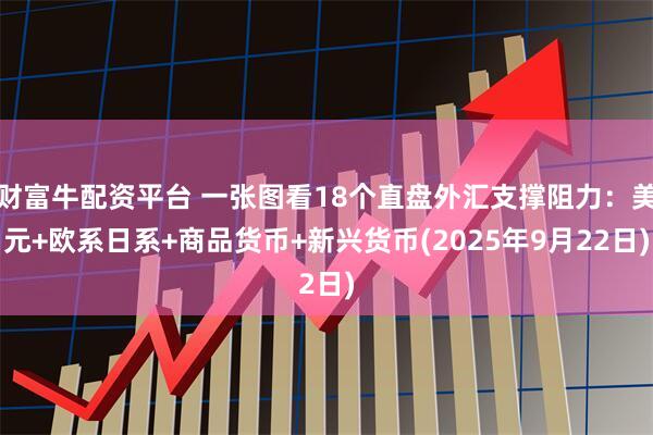 财富牛配资平台 一张图看18个直盘外汇支撑阻力：美元+欧系日系+商品货币+新兴货币(2025年9月22日)
