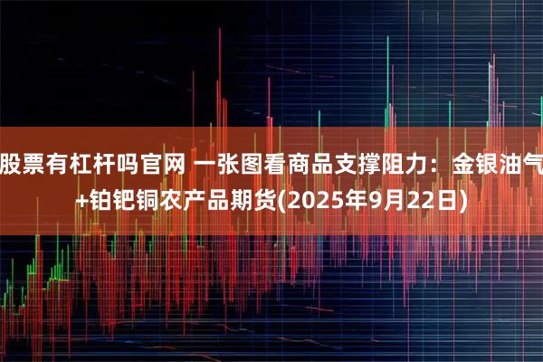 股票有杠杆吗官网 一张图看商品支撑阻力：金银油气+铂钯铜农产品期货(2025年9月22日)