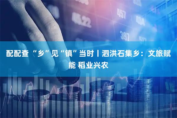 配配查 “乡”见“镇”当时丨泗洪石集乡：文旅赋能 稻业兴农