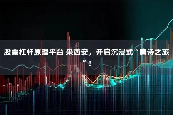 股票杠杆原理平台 来西安，开启沉浸式“唐诗之旅”！