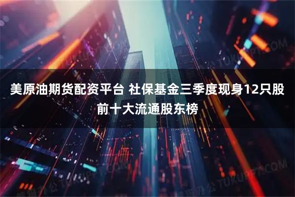 美原油期货配资平台 社保基金三季度现身12只股前十大流通股东榜